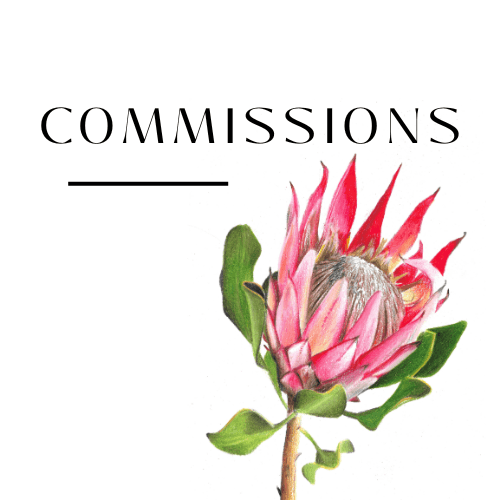 Commissions