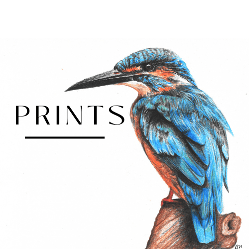 Prints