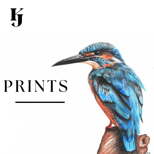 Prints