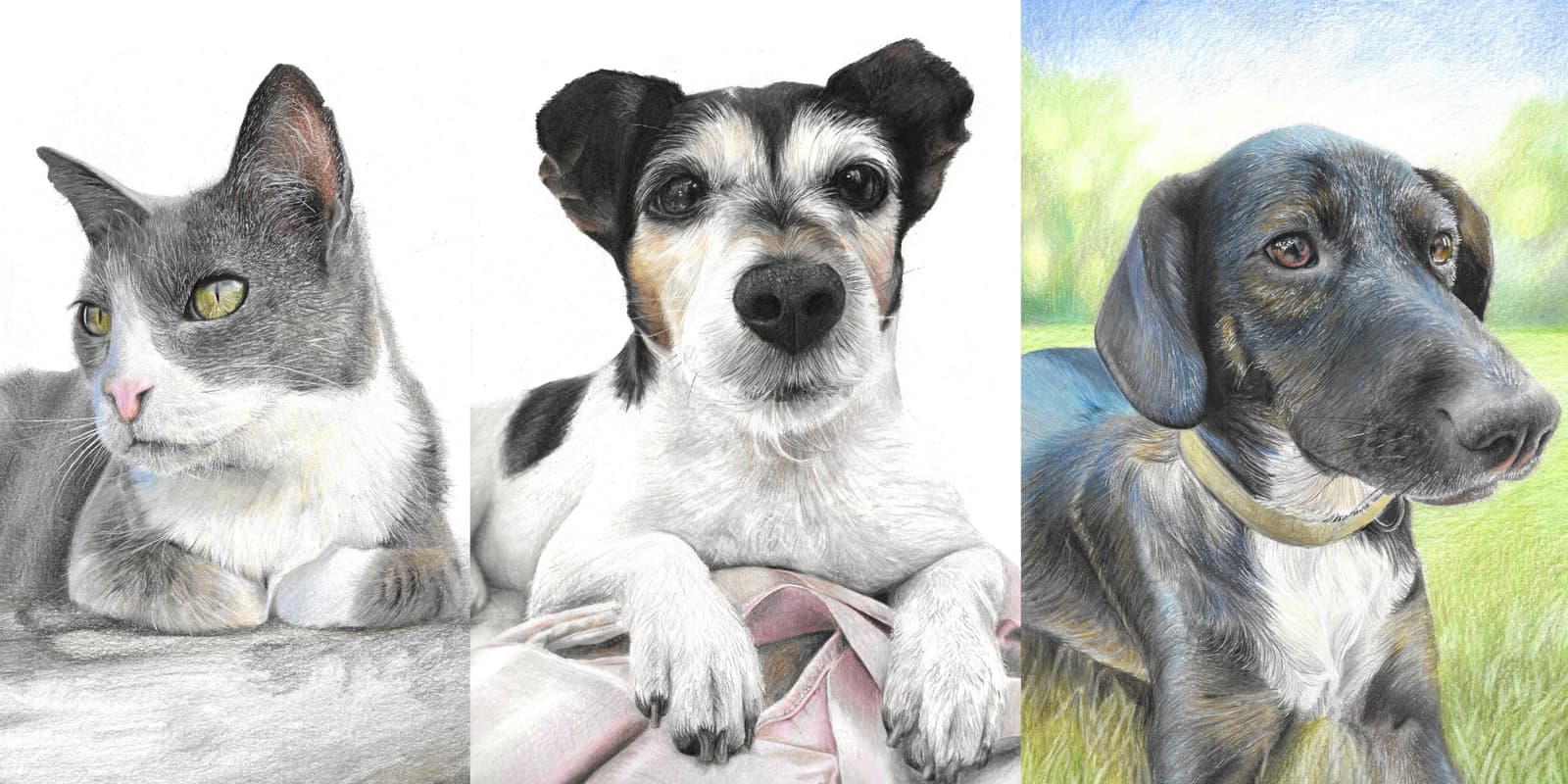 Three commissioned coloured-pencil pet portraits: a grey and white cat, a terrier, and a black dog in a field