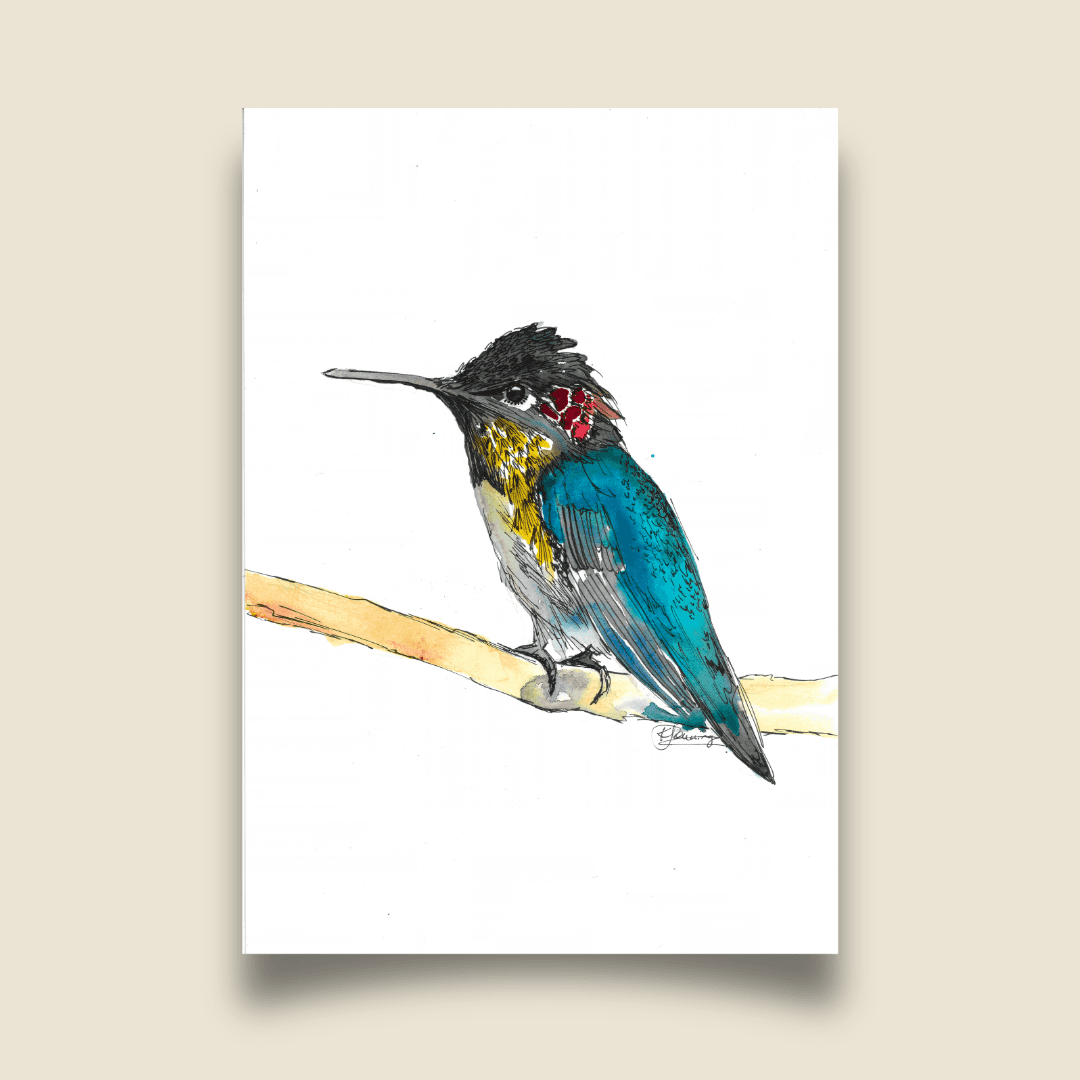 Birdtober 2026 - Bee Hummingbird