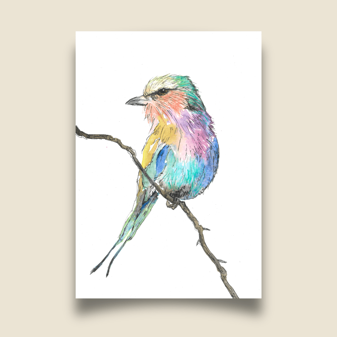 Birdtober 2026 - Lilac Breasted Roller
