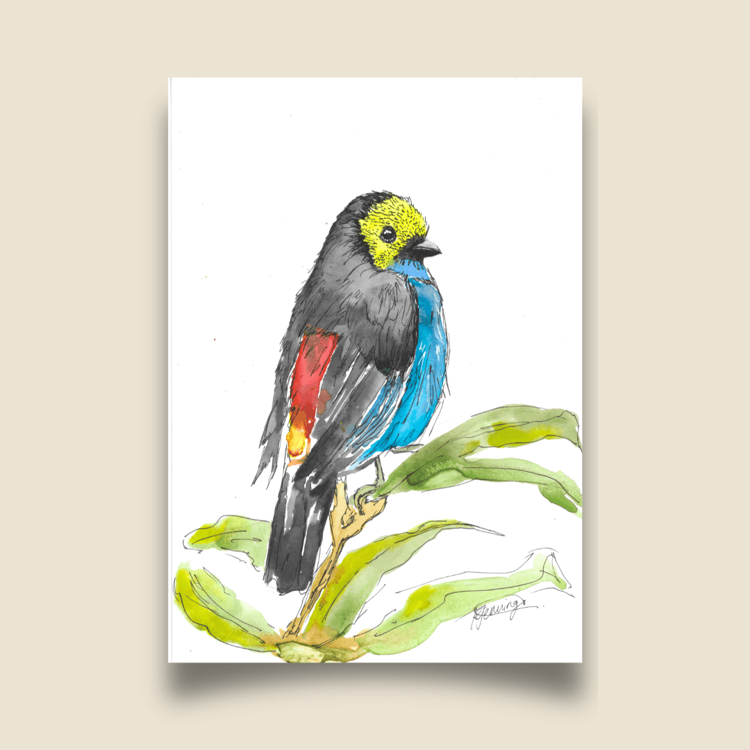 Birdtober 2026 - Paradise Tanager