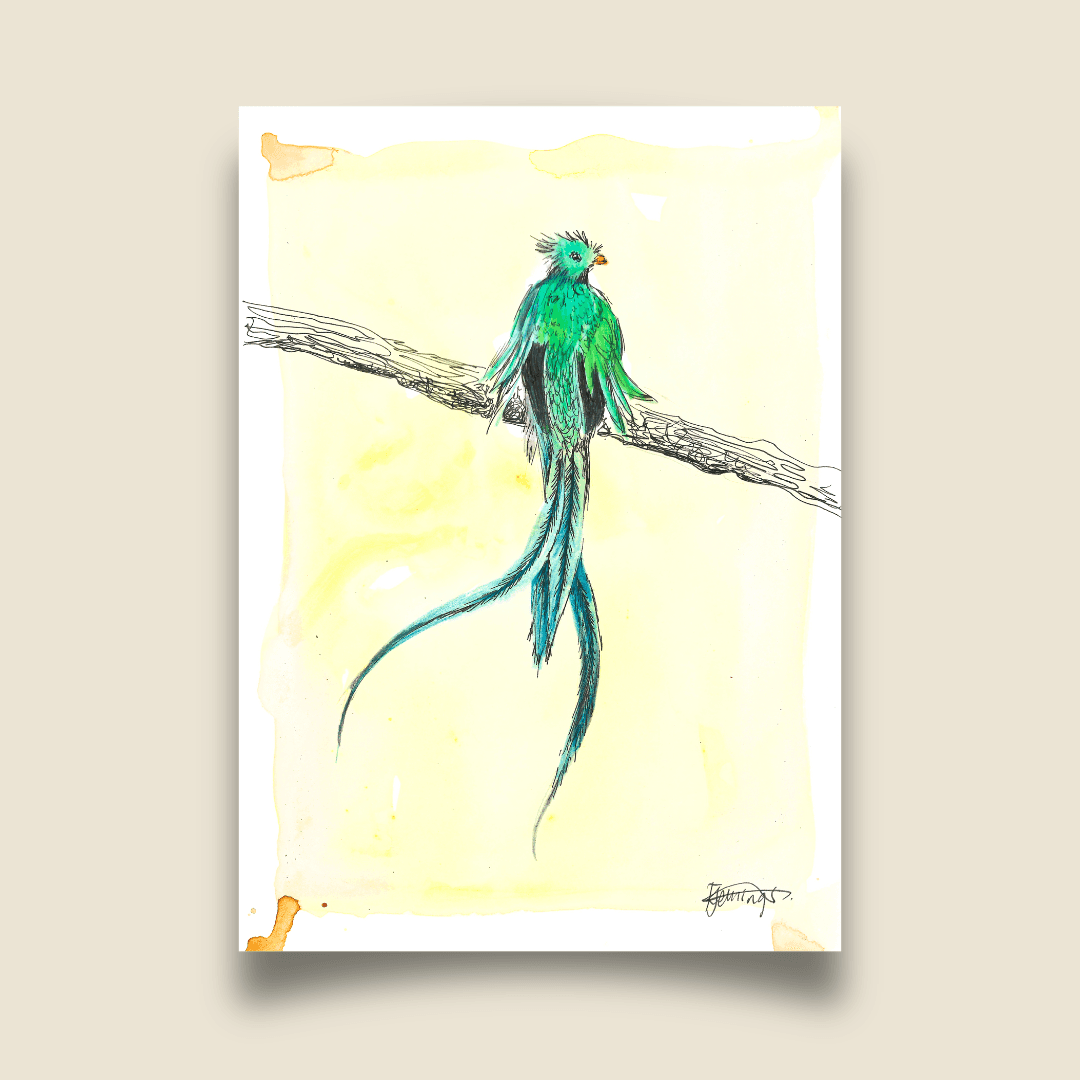Birdtober 2026 - Resplendent Queztal