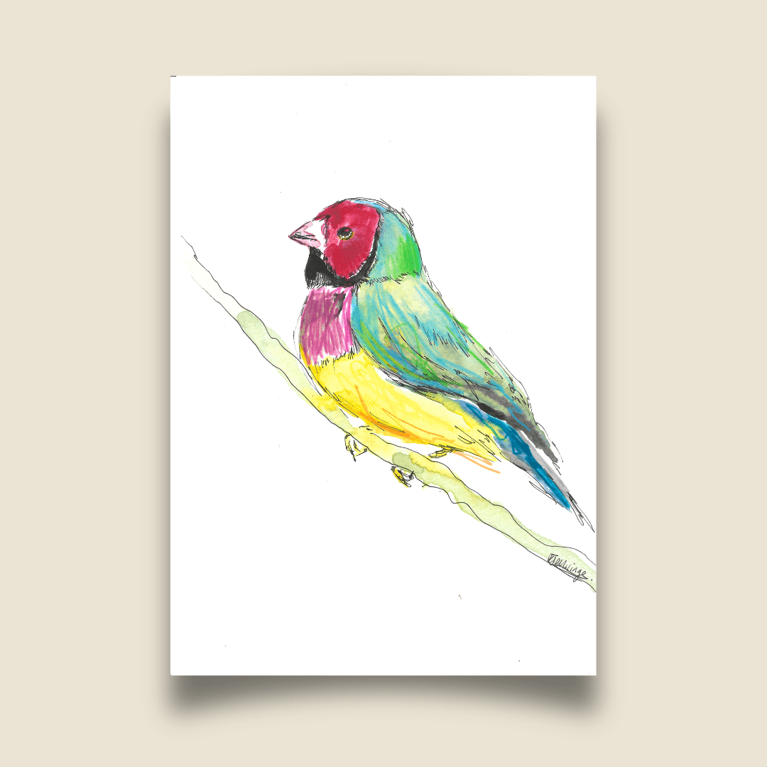 Birdtober 2026 - Gouldian Finch