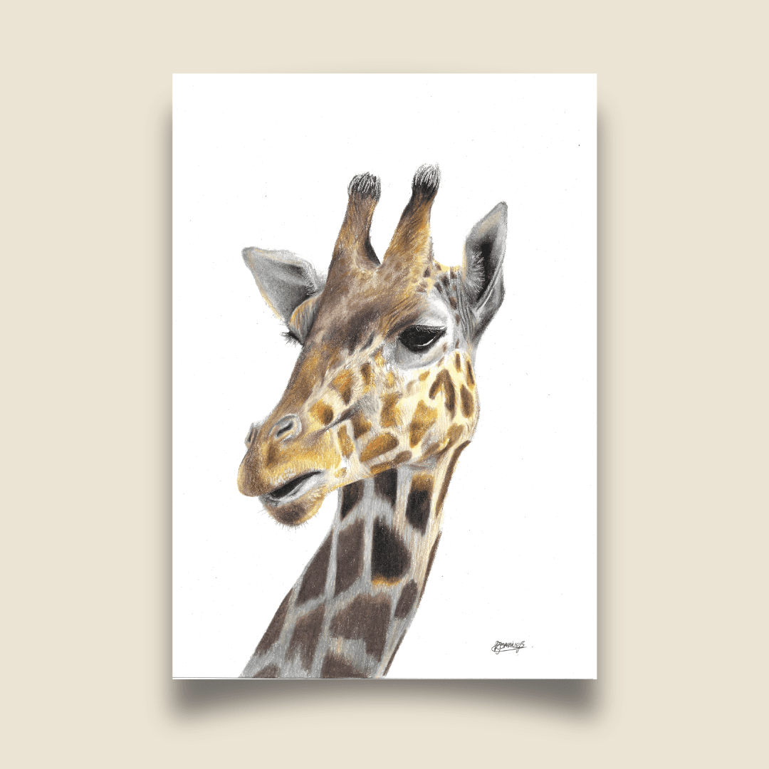 Fine Art Print - Giraffe