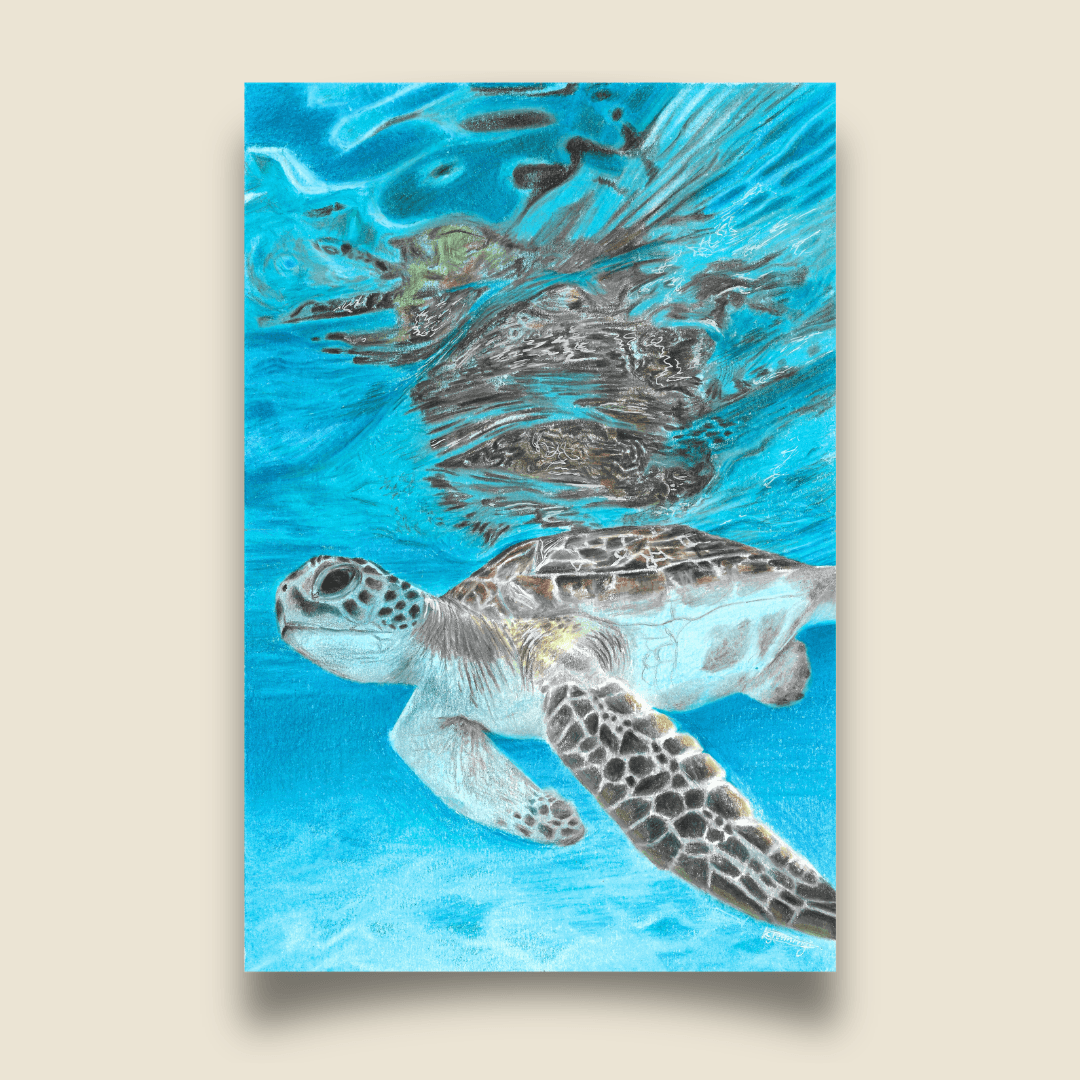 Fine Art Print - Green Turtle