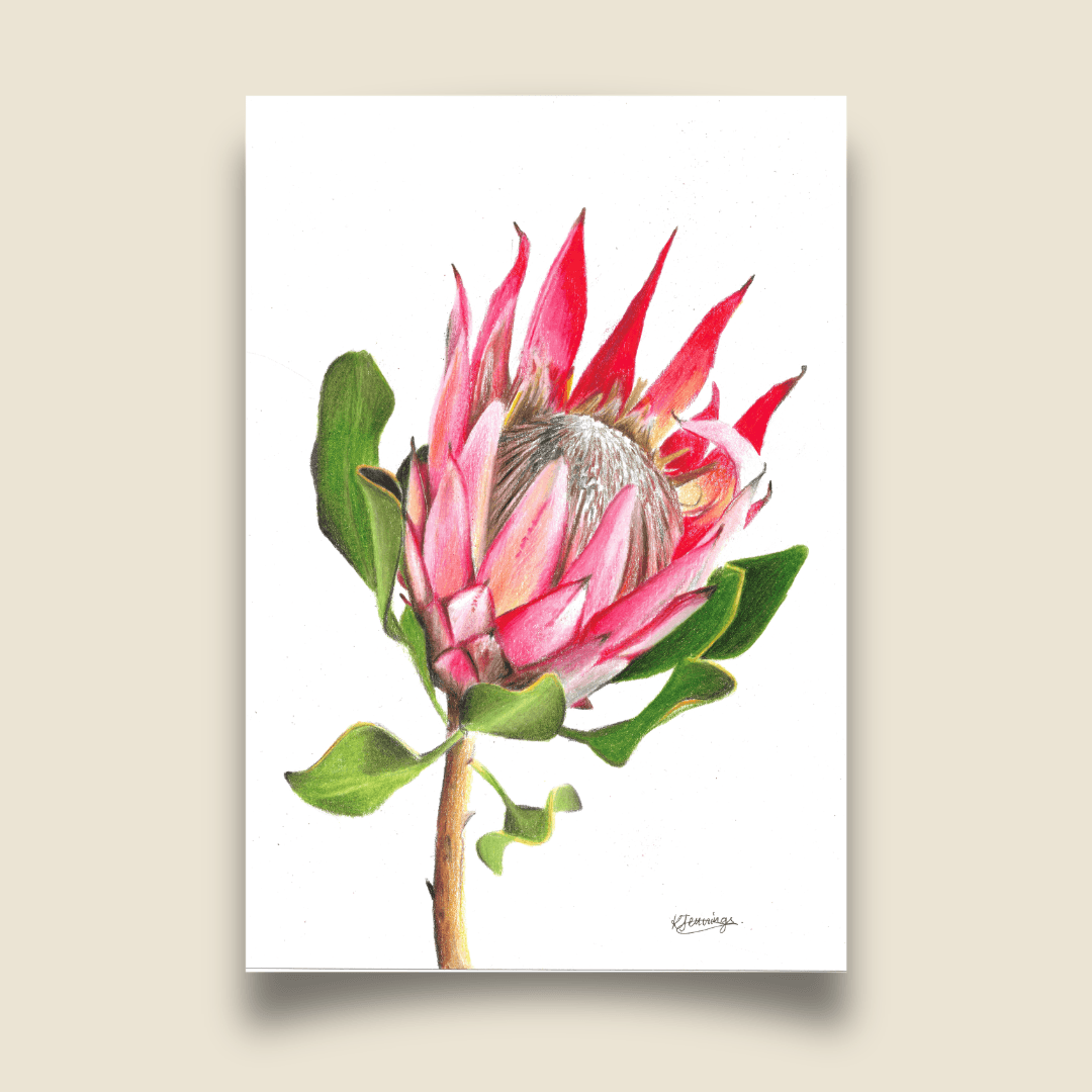Fine Art Print - King Protea
