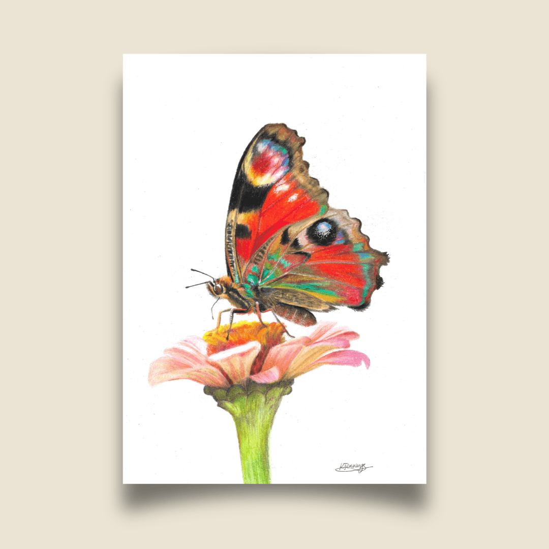 Fine Art Print - Peacock Butterfly